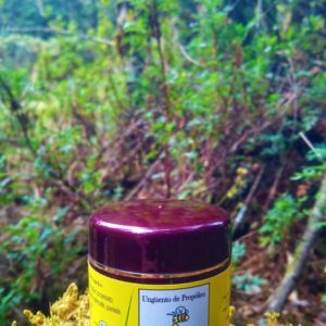 Ungüento de propópelo  60 g.