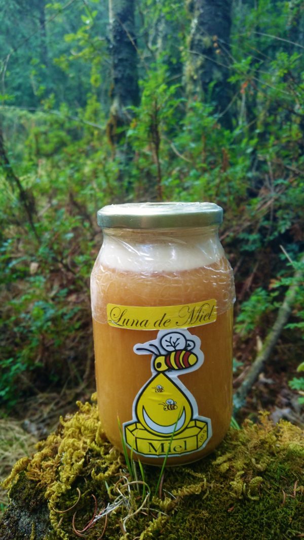 Miel de abeja  cremosa 700 g