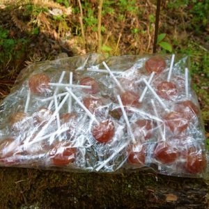 Paleta de miel con limón  25 pz