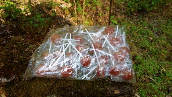 Paleta de miel con limón  25 pz