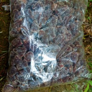 Gomitas de propóleo y miel 1 k