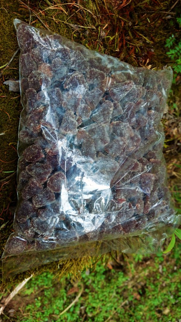 Gomitas de propóleo y miel 1 k
