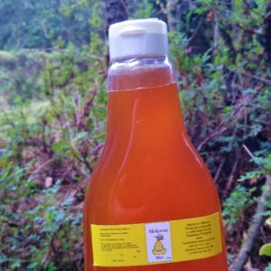 Miel de abeja melipona   500 ml