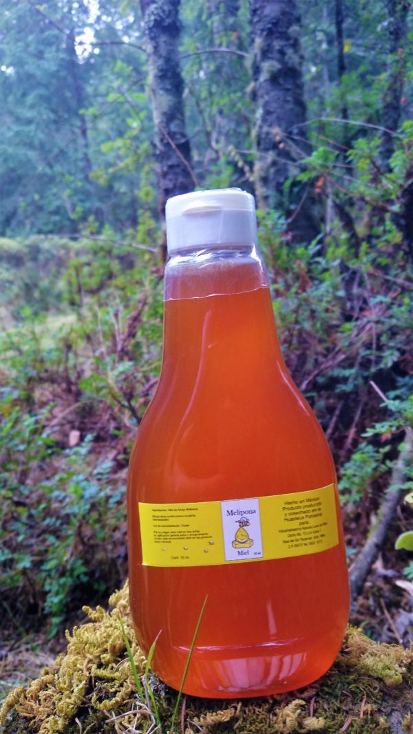 Miel de abeja melipona   500 ml