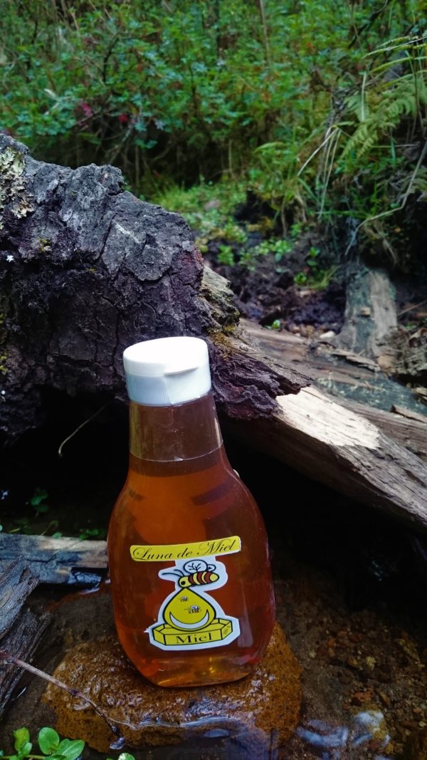 Miel de abeja floración de azhar 350 g