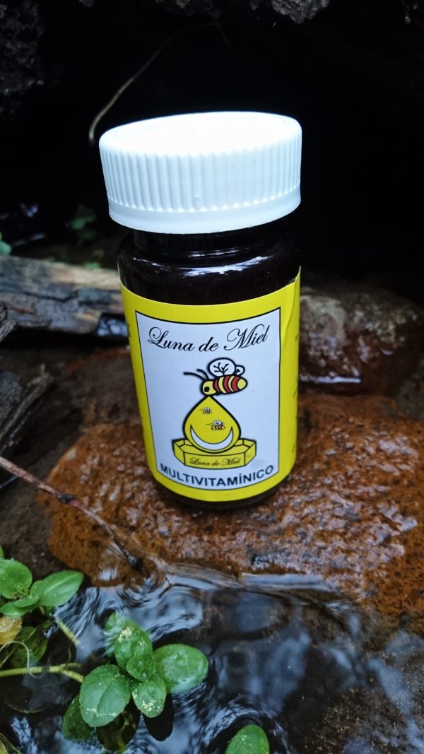 Multivitamínico jalea real , polen y ginseng   60 pz