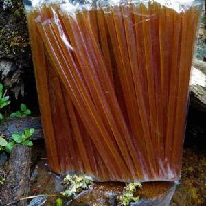 Popote de miel con chile y limón  100 pz.